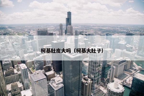 柯基肚皮大吗（柯基大肚子）
