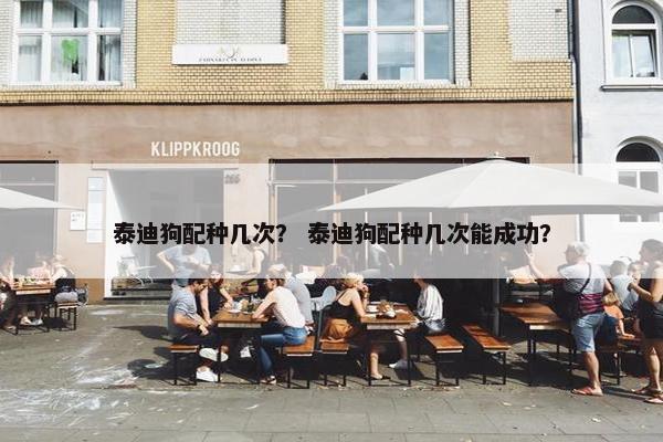 泰迪狗配种几次？ 泰迪狗配种几次能成功？
