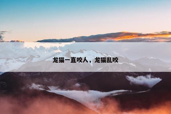 龙猫一直咬人，龙猫乱咬