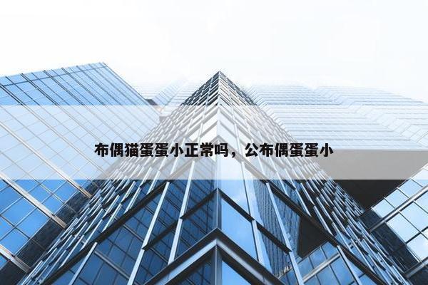 布偶猫蛋蛋小正常吗，公布偶蛋蛋小