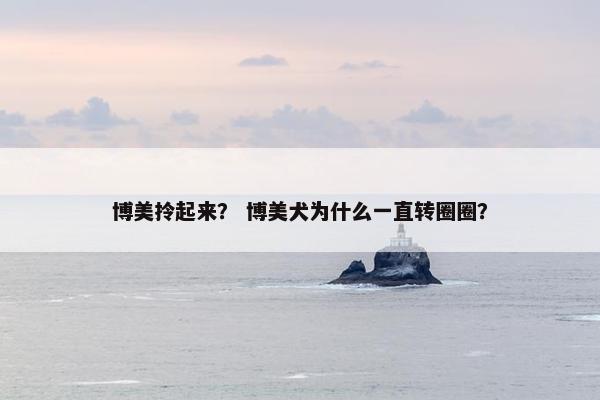 博美拎起来？ 博美犬为什么一直转圈圈？