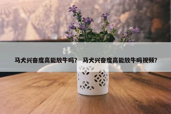 马犬兴奋度高能放牛吗？ 马犬兴奋度高能放牛吗视频？