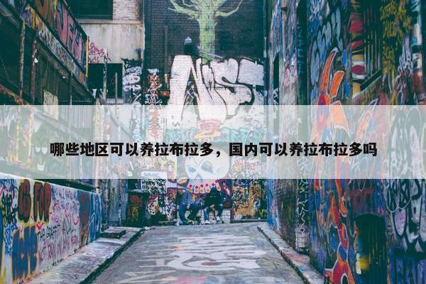 哪些地区可以养拉布拉多，国内可以养拉布拉多吗