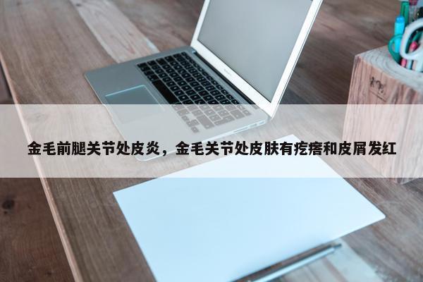 金毛前腿关节处皮炎，金毛关节处皮肤有疙瘩和皮屑发红