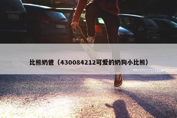 比熊奶爸（430084212可爱的奶狗小比熊）
