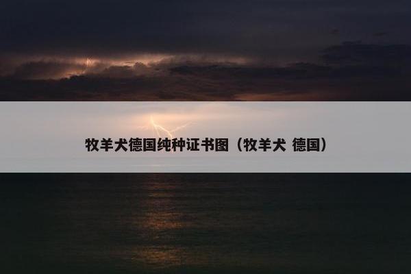 牧羊犬德国纯种证书图（牧羊犬 德国）