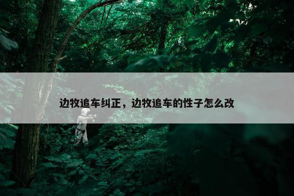 边牧追车纠正，边牧追车的性子怎么改