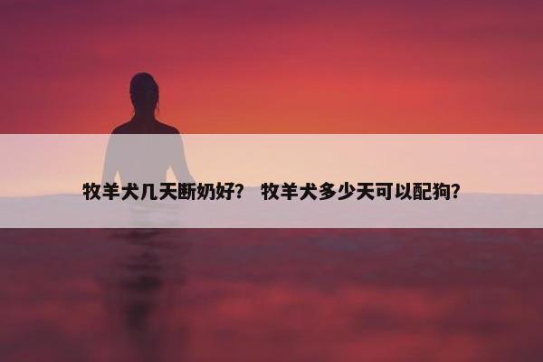 牧羊犬几天断奶好？ 牧羊犬多少天可以配狗？