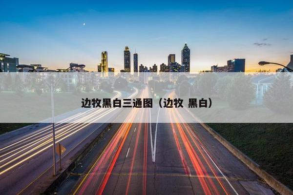 边牧黑白三通图（边牧 黑白）