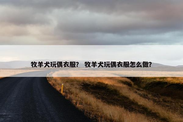 牧羊犬玩偶衣服？ 牧羊犬玩偶衣服怎么做？