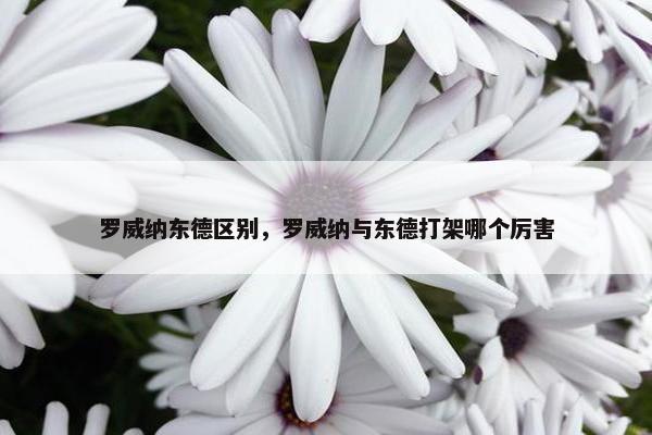 罗威纳东德区别，罗威纳与东德打架哪个厉害