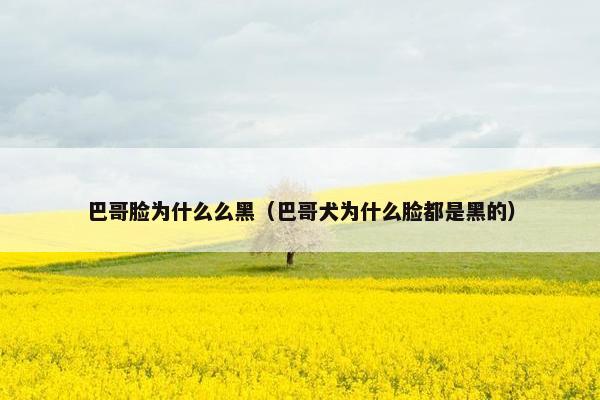 巴哥脸为什么么黑（巴哥犬为什么脸都是黑的）