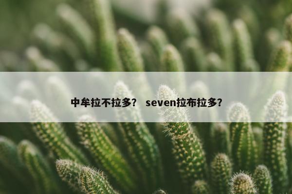 中牟拉不拉多？ seven拉布拉多？