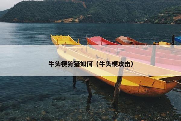 牛头梗狩猎如何（牛头梗攻击）