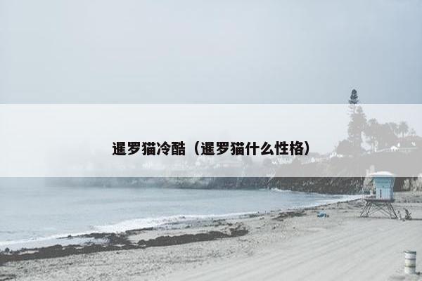 暹罗猫冷酷（暹罗猫什么性格）