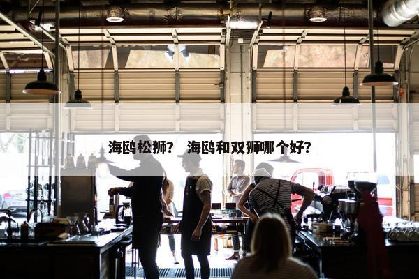 海鸥松狮？ 海鸥和双狮哪个好？
