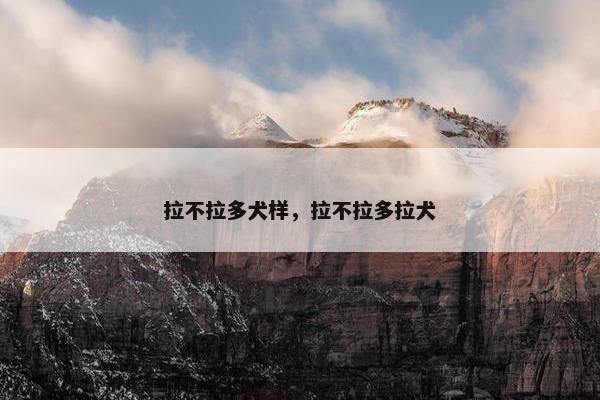 拉不拉多犬样，拉不拉多拉犬