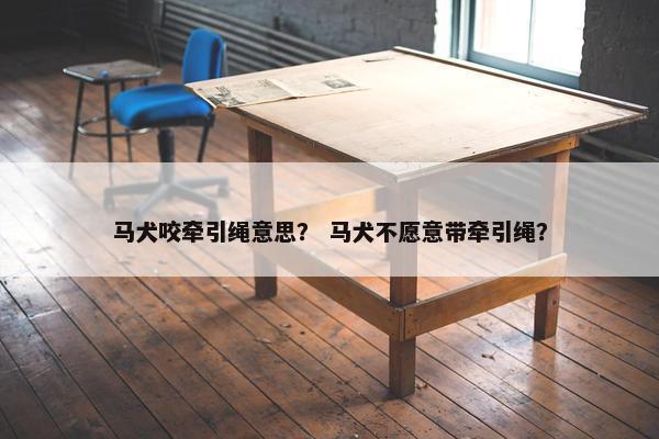 马犬咬牵引绳意思？ 马犬不愿意带牵引绳？