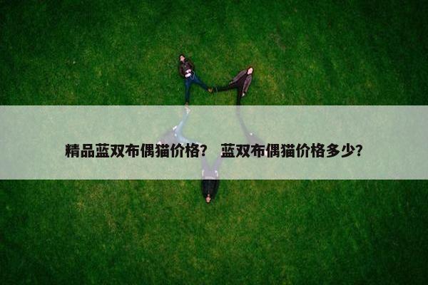 精品蓝双布偶猫价格？ 蓝双布偶猫价格多少？