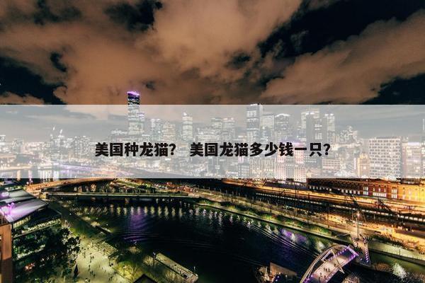 美国种龙猫？ 美国龙猫多少钱一只？