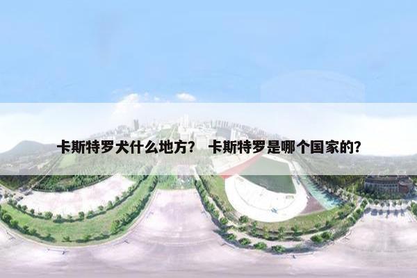 卡斯特罗犬什么地方？ 卡斯特罗是哪个国家的？