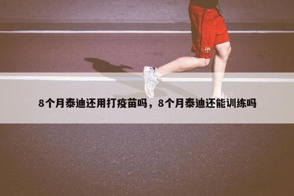 8个月泰迪还用打疫苗吗，8个月泰迪还能训练吗