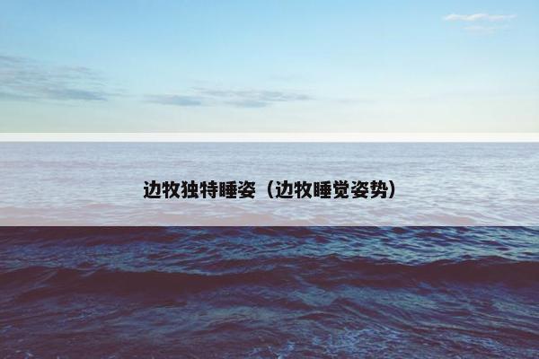 边牧独特睡姿（边牧睡觉姿势）