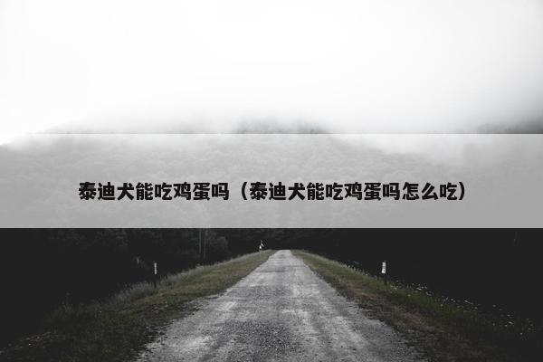 泰迪犬能吃鸡蛋吗（泰迪犬能吃鸡蛋吗怎么吃）