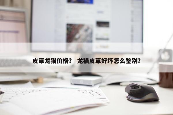 皮草龙猫价格？ 龙猫皮草好坏怎么鉴别？