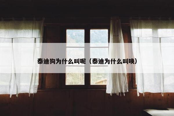 泰迪狗为什么叫呢（泰迪为什么叫唤）