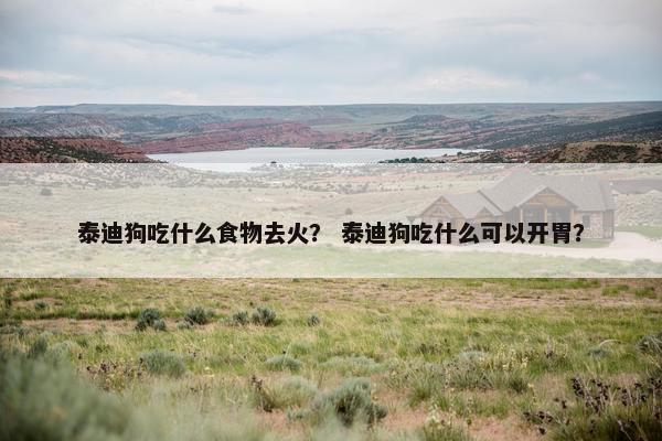 泰迪狗吃什么食物去火？ 泰迪狗吃什么可以开胃？