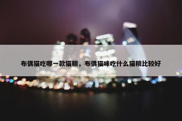 布偶猫吃哪一款猫粮，布偶猫咪吃什么猫粮比较好