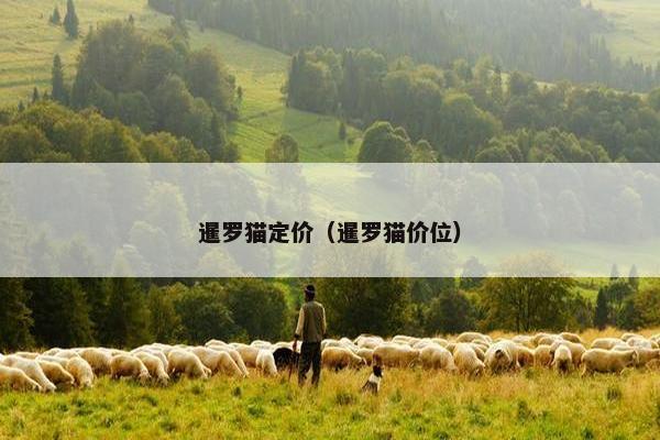 暹罗猫定价（暹罗猫价位）