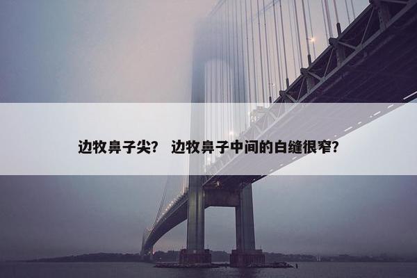边牧鼻子尖？ 边牧鼻子中间的白缝很窄？