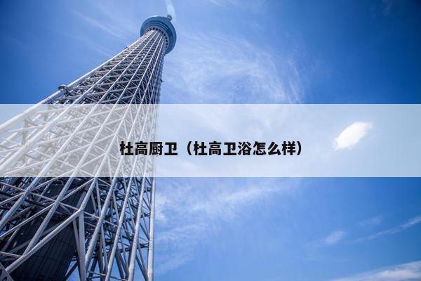杜高厨卫（杜高卫浴怎么样）