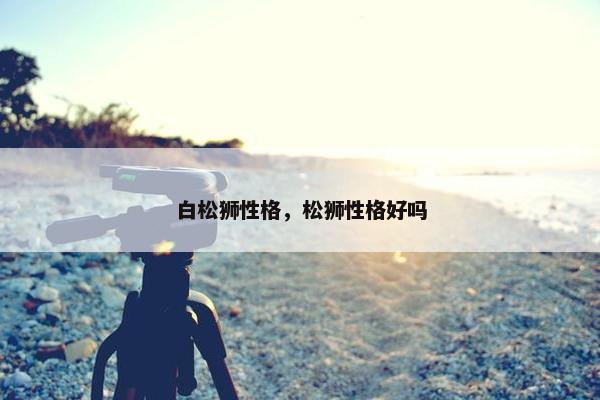 白松狮性格，松狮性格好吗