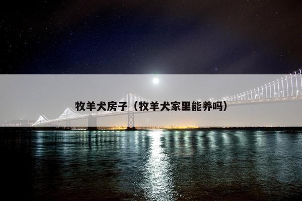 牧羊犬房子（牧羊犬家里能养吗）