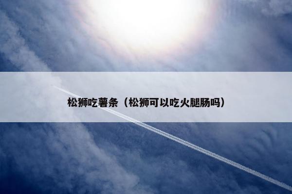 松狮吃薯条（松狮可以吃火腿肠吗）