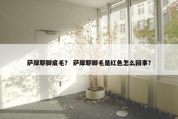 萨摩耶脚底毛？ 萨摩耶脚毛是红色怎么回事？
