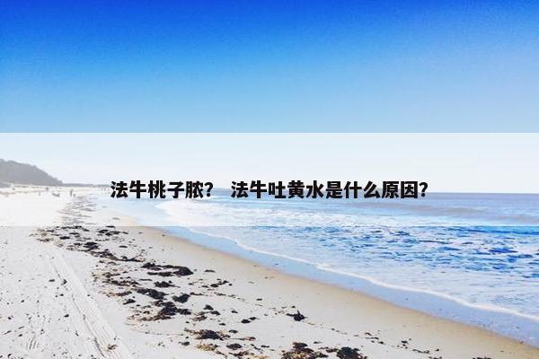 法牛桃子脓？ 法牛吐黄水是什么原因？