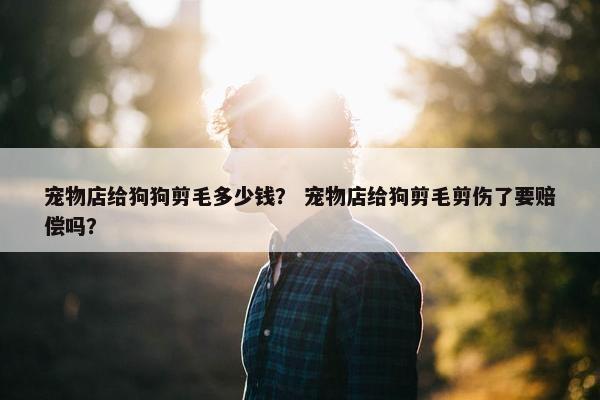 宠物店给狗狗剪毛多少钱？ 宠物店给狗剪毛剪伤了要赔偿吗？