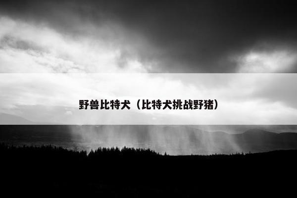 野兽比特犬（比特犬挑战野猪）