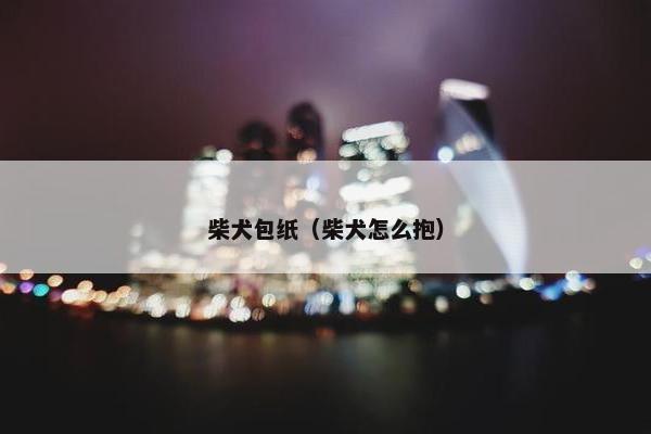 柴犬包纸（柴犬怎么抱）