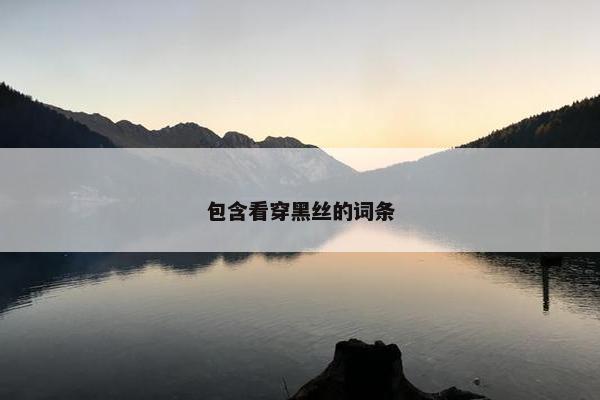 包含看穿黑丝的词条