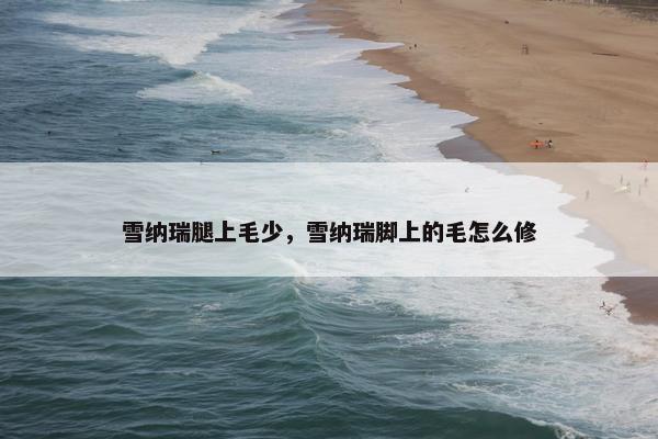 雪纳瑞腿上毛少，雪纳瑞脚上的毛怎么修