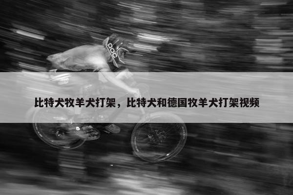 比特犬牧羊犬打架，比特犬和德国牧羊犬打架视频