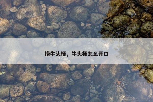 捞牛头梗，牛头梗怎么开口
