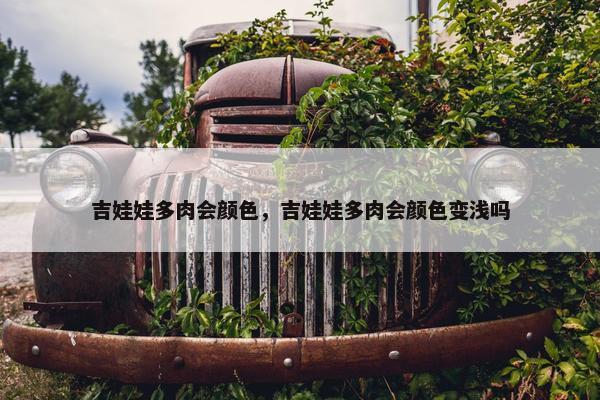 吉娃娃多肉会颜色，吉娃娃多肉会颜色变浅吗