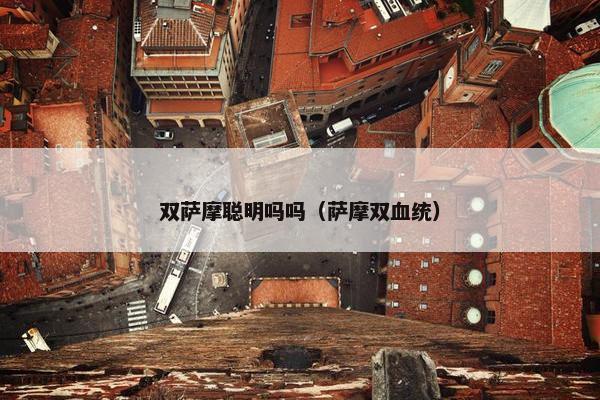 双萨摩聪明吗吗（萨摩双血统）