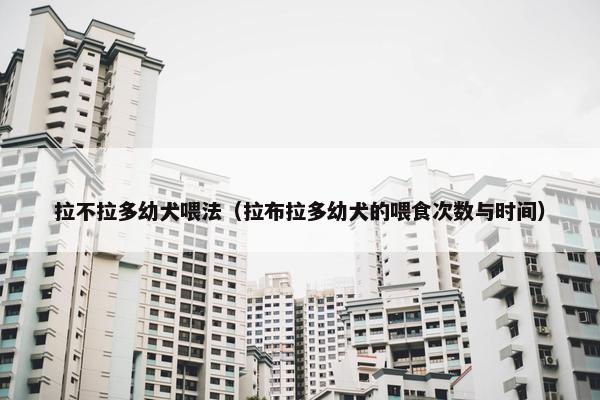 拉不拉多幼犬喂法（拉布拉多幼犬的喂食次数与时间）